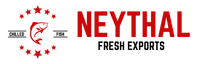 Neythal Logo (204 × 64px)